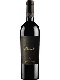 Вино Галанте, Санджовезе Апасіменто / Galante, Sangiovese Appassimento, Medici Ermete, червоне сухе 0.75л фото