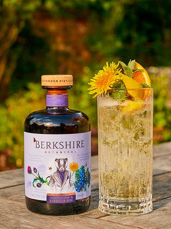Berkshire Dandelion & Burdock 0.5л купити джин | OKwine