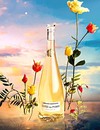 Вино Кот де Роз, Шардоне / Cote des Roses, Chardonnay, Gerard Bertrand, біле сухе 0.75л Photo 3 Вино Кот де Роз, Шардоне / Cote des Roses, Chardonnay, Gerard Bertrand, біле сухе 0.75л Photo 3