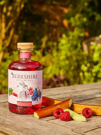 Berkshire Rhubarb & Raspberry купить джин по лучшей цене | OKwine