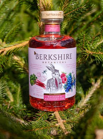 Berkshire Rhubarb & Raspberry купить джин по лучшей цене | OKwine