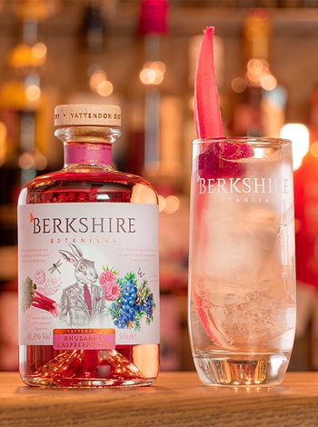 Berkshire Rhubarb & Raspberry купить джин по лучшей цене | OKwine