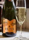 Ігристе вино Кава "Нейче", Хойя де Каденас / Cava "Nature", Hoya de Cadenas, біле брют натур, 11.5% 0.75л Photo 2 Ігристе вино Кава "Нейче", Хойя де Каденас / Cava "Nature", Hoya de Cadenas, біле брют натур, 11.5% 0.75л Photo 2