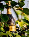 Ігристе вино Іль Фреско, Просеко / Il Fresco, Prosecco, Villa Sandi, біле брют 0.75л Photo 4