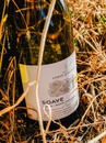 Вино Соаве / Soave, Tenuta di Corte Giacobbe, біле сухе 0.75л Photo 2 Вино Соаве / Soave, Tenuta di Corte Giacobbe, біле сухе 0.75л Photo 2