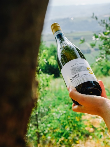 Soave Tenuta di Corte Giacobbe купить белое сухое вино 0.75л | OKwine