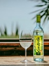 Вино Газела, Вінью Верде / Gazela, Vinho Verde, Sogrape Vinhos, біле напівсухе 0.75л Photo 2