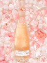 Вино Кот Де Роз, Розе / Cote Des Roses, Rose, Gerard Bertrand, рожеве сухе 0.75л Photo 5 Вино Кот Де Роз, Розе / Cote Des Roses, Rose, Gerard Bertrand, рожеве сухе 0.75л Photo 5