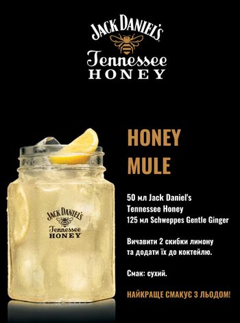 Jack Daniel's Tennessee Honey 35% 0.7л + Schweppes ж/б 4*0.33л