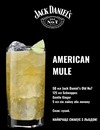 Акційний набір віскі Джек Деніелс + Швепс Імбир / Jack Daniel's, 40% 0.7л + Schweppes Gentle Ginger, ж/б 4*0.33л Photo 2 Акційний набір віскі Джек Деніелс + Швепс Імбир / Jack Daniel's, 40% 0.7л + Schweppes Gentle Ginger, ж/б 4*0.33л Photo 2