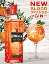 Джин Бифитер, Блад Оранж / Beefeater, Blood Orange, 37.5%, 0.7л Photo 2