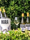 Вино Мара, Годельо / Mara, Godello, Martin Codax, біле сухе 0.75л Photo 2