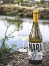 Вино Мара, Годельо / Mara, Godello, Martin Codax, біле сухе 0.75л Photo 3