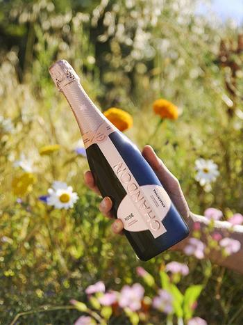 Chandon Rose купить игристое розовое сухое вино 0.75л | OKwine