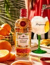 Джин Танкерей, Фло де Севіля / Tanqueray, Flor de Sevilla Gin, 41.3%, 0.7л Photo 2