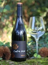 Вино Куатро Пасос, Менсия / Cuatro Pasos, Mencia, Martin Codax, красное сухое 0.75л Photo 3