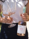 Вино Мирали Розе, Тоскана / Miraly Rose, Toscana, Tenuta Montecchiesi, розовое сухое 0.75л Photo 3 Вино Мирали Розе, Тоскана / Miraly Rose, Toscana, Tenuta Montecchiesi, розовое сухое 0.75л Photo 3