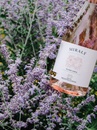 Вино Мирали Розе, Тоскана / Miraly Rose, Toscana, Tenuta Montecchiesi, розовое сухое 0.75л Photo 5 Вино Мирали Розе, Тоскана / Miraly Rose, Toscana, Tenuta Montecchiesi, розовое сухое 0.75л Photo 5