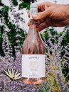 Вино Мирали Розе, Тоскана / Miraly Rose, Toscana, Tenuta Montecchiesi, розовое сухое 0.75л Photo 6 Вино Мирали Розе, Тоскана / Miraly Rose, Toscana, Tenuta Montecchiesi, розовое сухое 0.75л Photo 6