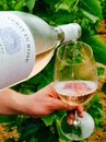 Вино Версі ін Розе, Тоскана / Versy in Rose, Toscana, Tenuta Montecchiesi, рожеве сухе 0.75л Photo 2 Вино Версі ін Розе, Тоскана / Versy in Rose, Toscana, Tenuta Montecchiesi, рожеве сухе 0.75л Photo 2