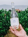 Вино Версі ін Розе, Тоскана / Versy in Rose, Toscana, Tenuta Montecchiesi, рожеве сухе 0.75л Photo 3 Вино Версі ін Розе, Тоскана / Versy in Rose, Toscana, Tenuta Montecchiesi, рожеве сухе 0.75л Photo 3