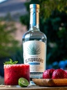 Текила Эль Текиленьо, Платинум Бланко / El Tequileno, Platinum Blanco, 40%, 0.7л Photo 2 Текила Эль Текиленьо, Платинум Бланко / El Tequileno, Platinum Blanco, 40%, 0.7л Photo 2