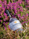 Віскі Кенмор, Сінгл Молт / Canmore, Single Malt, 40%, 0.7л Photo 2
