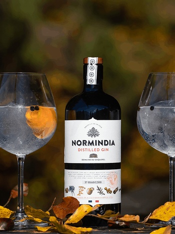 Normindia Distilled 41.4% 0.7л купить джин с доставкой | OKwine