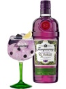 Джин Танкерей, Блэккурант Роял / Tanqueray, Blackcurrant Royale, 41.3%, 0.7л Photo 2 Джин Танкерей, Блэккурант Роял / Tanqueray, Blackcurrant Royale, 41.3%, 0.7л Photo 2