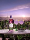 Джин Танкерей, Блэккурант Роял / Tanqueray, Blackcurrant Royale, 41.3%, 0.7л Photo 4 Джин Танкерей, Блэккурант Роял / Tanqueray, Blackcurrant Royale, 41.3%, 0.7л Photo 4