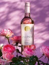 Вино "Ла Лінда" Розе Мальбек / "La Linda" Rose Malbec, рожеве сухе 0.75л Photo 2