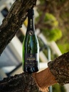 Шампанське Коллері, Блан де Нуар, Гран Крю / Collery, Blanc de Noirs, Grand Cru, біле брют 0.75л Photo 4