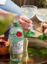 Напиток на основе джина Танкерей, Рангпур Лайм / Tanqueray, Rangpur Lime, 41.3%, 0.7л Photo 3 Напиток на основе джина Танкерей, Рангпур Лайм / Tanqueray, Rangpur Lime, 41.3%, 0.7л Photo 3