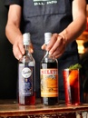 Бітер Мелеті / Bitter Meletti, 25% 0.7л Photo 3