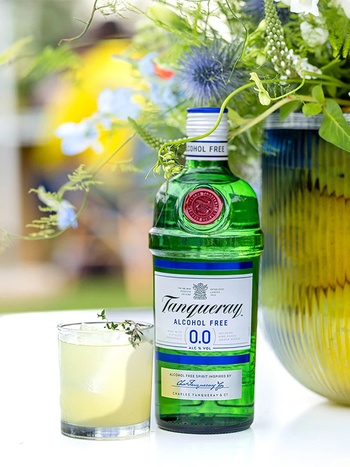 tanqueray Tanqueray Alcohol Free 0.7л купить безалкогольный джин | OKWINE
