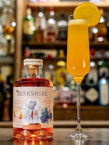 Berkshire Valencian Orange & Grapefruit купить джин по лучшей цене