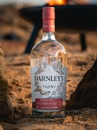 Джин Дарнлейс, Лондон Драй Спайсед / Darnley's, London Dry Spiced, 42.7%, 0.7л Photo 4