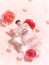 Джин Ле Парфюмер / Le Parfumeur, Vedrenne, 40%, 0.7л Photo 6