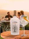 Джин Арбре, Медітеранен / L'Arbre, Mediterranean, Teichenne, 41%, 0.7л Photo 4
