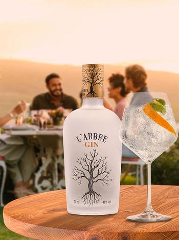 LArbre Mediterranean 0.7л купить джин по лучшей цене | OKWINE