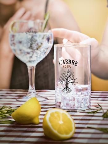 LArbre Mediterranean 0.7л купить джин по лучшей цене | OKWINE