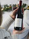 Безалкогольне вино Шавін Зеро, Піно Нуар / Chavin Zero, Pinot Noir, Domaines Pierre Chavin, червоне 0.75л Photo 3
