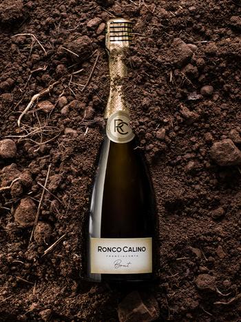 Franciacorta DOCG Brut Organic купити біле брют вино 0.75л | OKWINE