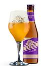 Пиво Мастер ІПА, Вівен / Master IPA, Viven, 7%, 0.33л Photo 2 Пиво Мастер ІПА, Вівен / Master IPA, Viven, 7%, 0.33л Photo 2