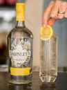 Джин Дарнлейс, Лондон Драй Оріджинал / Darnley's, London Dry Original, 40%, 0.75л Photo 2