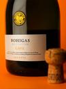 Игристое вино Кава Брют Натур Резерва, Боигас / Cava Brut Nature Reserva, Bohigas, белое брют натур 0.75л Photo 2