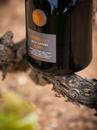 Ігристе вино Кава Брют Натур Гран Резерва, Боїгас / Cava Brut Nature Gran Reserva, Bohigas, біле брют натур 0.75л Photo 2 Ігристе вино Кава Брют Натур Гран Резерва, Боїгас / Cava Brut Nature Gran Reserva, Bohigas, біле брют натур 0.75л Photo 2