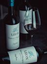 Вино Леон, Каберне Совіньйон / Leon, Cabernet Sauvignon, Luigi Bosca, червоне сухе 0.75л Photo 2
