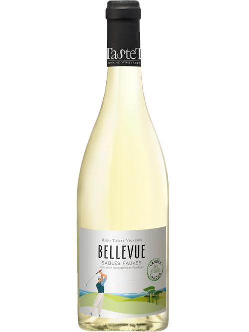 Вино Бельвю, Блан Сек / Bellevue, Blanc Sec, Domaine Denis Tastet, біле сухе 0.75л Вино Бельвю, Блан Сек / Bellevue, Blanc Sec, Domaine Denis Tastet, біле сухе 0.75л фото