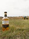 Виски Кингсбарнс, Сингл Молт / Kingsbarns, Single Malt, 10 лет, 46%, 0.7л Photo 2